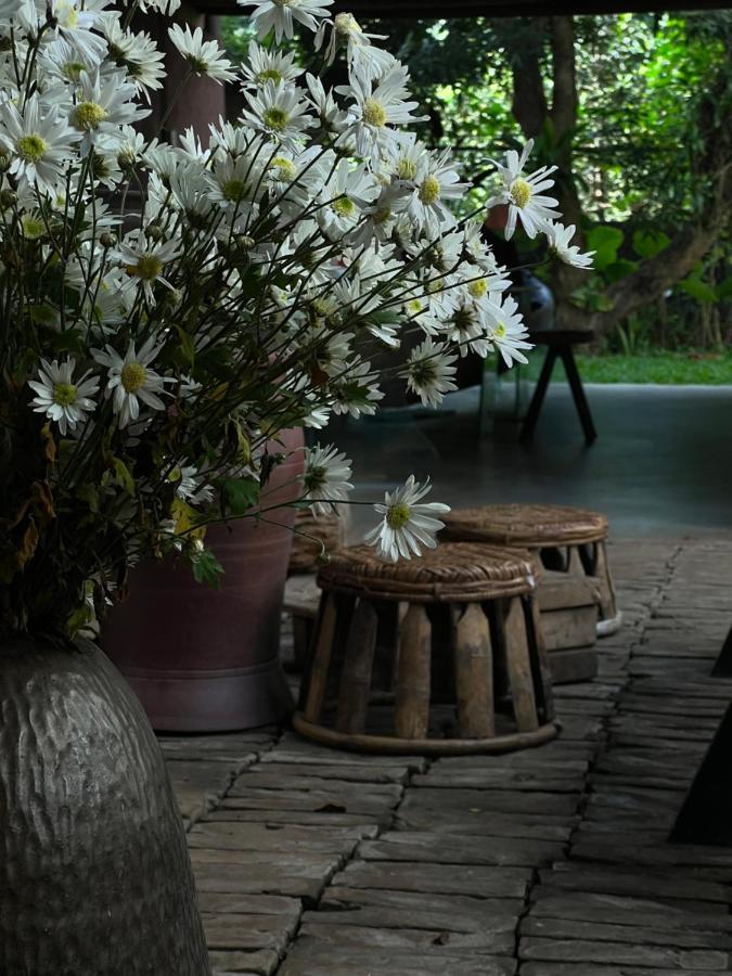 Apartamento Mo He Son Tay Exterior foto